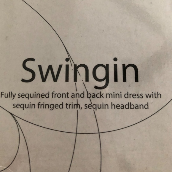 NEW: Flapper Costume - Picture 2 of 7